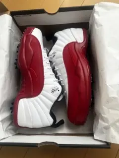 AIR JORDAN XII LOW