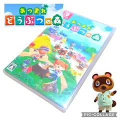 あつまれどうぶつの森♥匿名配送♥Switchソフト