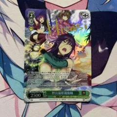 SP 野良猫姫親衛隊
