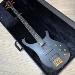 2025年最新】FERNANDES rbの人気アイテム - メルカリ