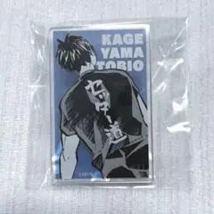 ハイキューファンパーク　影山飛雄　バッジ