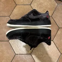 NIKE ローズベルベット　靴紐両方ついてます