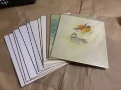 色紙　12枚