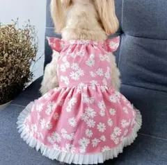 Item thumbnail for item 1a62c577-7c8b-4171-b809-3d7b25706bad