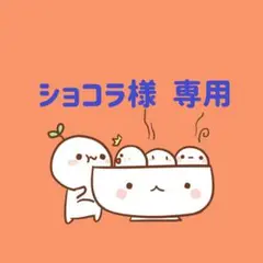 ショコラ様　専用(8/8迄)