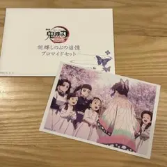 【新品】 鬼滅の刃　胡蝶しのぶの追憶ブロマイドセット　しのぶ　蝶屋敷