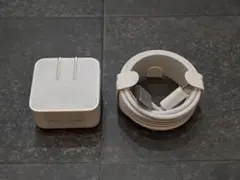純正品　電源アダプター　ケーブル