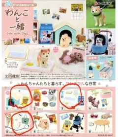 Item thumbnail for item 393627e3-eaf4-4ba6-937c-22643b160e2c