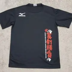 Item thumbnail for item 220bd2a2-c563-4b12-b4af-e6d5a26dff54