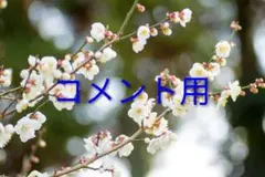 やーまん様　コメントやり取り用