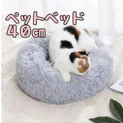 Item thumbnail for item a9db25cf-ee0d-4e1f-9064-27e5c735a974