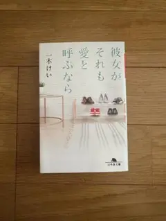彼女がそれも愛と呼ぶなら　一木けい著