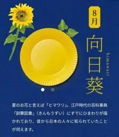 早い者勝ち！！金麦花やか皿 2025 8月向日葵✕５枚