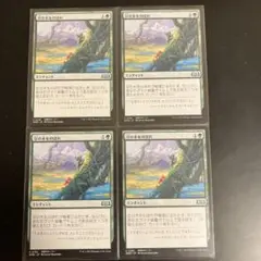 mtg 豆の木のぼれ　4枚セット
