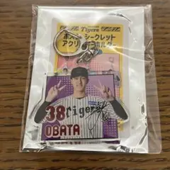 小幡竜平 ポスターシークレットアクリルキーホルダー ダグアウト限定
