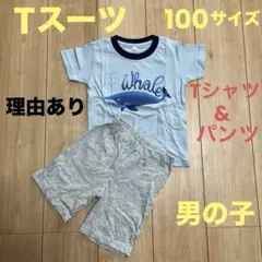 理由あり　半袖Ｔシャツ ハーフパンツ 上下セット 100サイズ 男の子 子供
