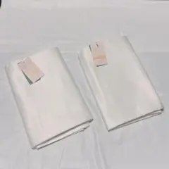 Item thumbnail for item 6b250fdb-9a6c-4da6-ba34-7512220ef7c3
