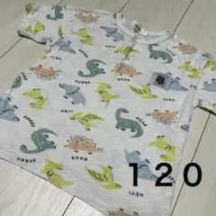ダイナソー 恐竜 Tシャツ 120サイズ