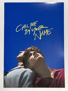 君の名前で僕を呼んで パンフレット 豪華版　ビューティフルボーイ 君の名前で僕を呼んで パンフレット 豪華版 ビューティフル