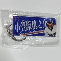 小笠原慎之介