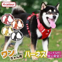 Item thumbnail for item d3365335-3e7c-402f-a05c-c44e811f7f24