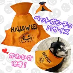 Item thumbnail for item 26a58ce9-7874-42d7-92ee-7d5e03a6672b