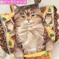 超ビッグ赤ちゃん猫と友達　コヤンイサムチョン　ヒョウ柄フリル　トーバック