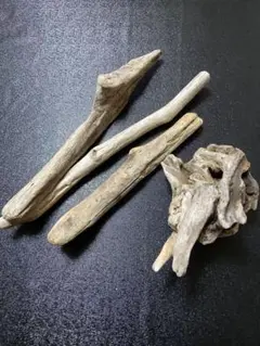 Item thumbnail for item 9a01d4f0-2a12-41a9-ae01-a048c47df766