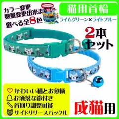 Item thumbnail for item 07495a19-3321-4933-a5f7-8cbccba93167