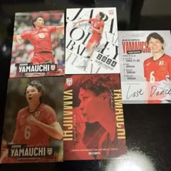 バレーボール男子日本代表 2024 トレーディングカード