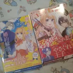 初版！透明カバー付！顔も思い出せない婚約者に、　ゴミ屋敷令嬢ですが、 1巻　漫画