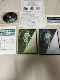 SF療法 22世紀の症状別バイタルアングルフォース　 飯田朋秀　整体DVD 飯田朋秀のSF療法-22世紀の整体科学-DVD＋購入者限定DVD フル