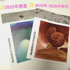 ✨新品✨非売品GEORGlAO'KEEFFEコムデギャルソンカタログ２冊