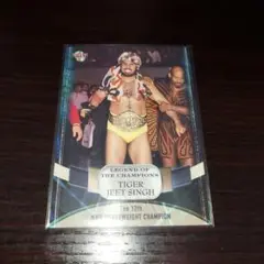 TIGER JEET SINGH トレーディングカード