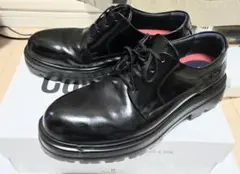 Item thumbnail for item a00213bc-a53b-49f4-947a-dcbaefde30eb