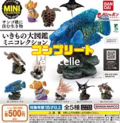 いきもの大図鑑ミニコレクション サンゴ礁に住む生き物 全５種　コンプリート