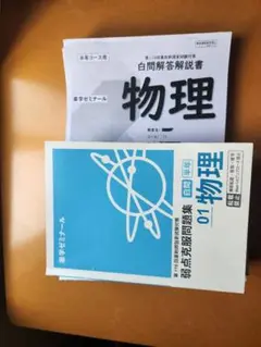 薬ゼミ 白問 白本
