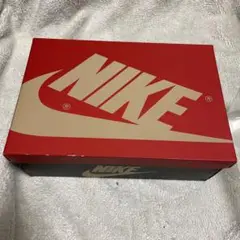 NIKE AIR JORDAN1 Sole Fly