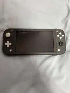 Nintendo Switch Lite グレー 本体