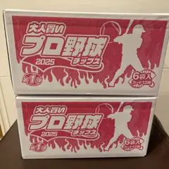 【未開封】大人買いプロ野球チップス　2025 第1弾　6袋入 カード12枚×2箱