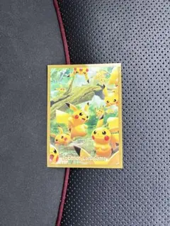 ソフトスリーブ　ハードスリーブ
