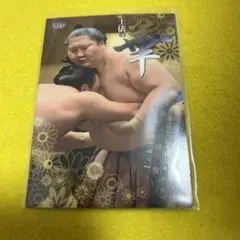 逸ノ城 2022 BBM 大相撲 華 トレカ 53