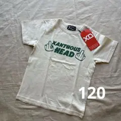 新品　XD XANTHOUS HEAD Tシャツ