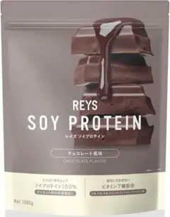 チョコレート風味 REYS レイズ ソイ プロテイン 1kg SOY