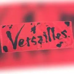 Versailles ライブ マフラータオル