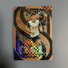 【75枚限定】panini select アーチー・グレイ