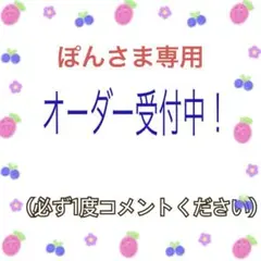 ぽんさま専用