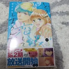 どうせ、恋してしまうんだ。(12)