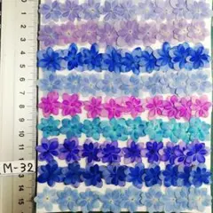 紫陽花　てまりてまり　　NoM-32　染色と自然　　押し花　押し花素材　@850