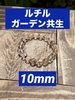 【いろはTAさん専用】ガーデン共生ルチルinクウォーツ 透明感